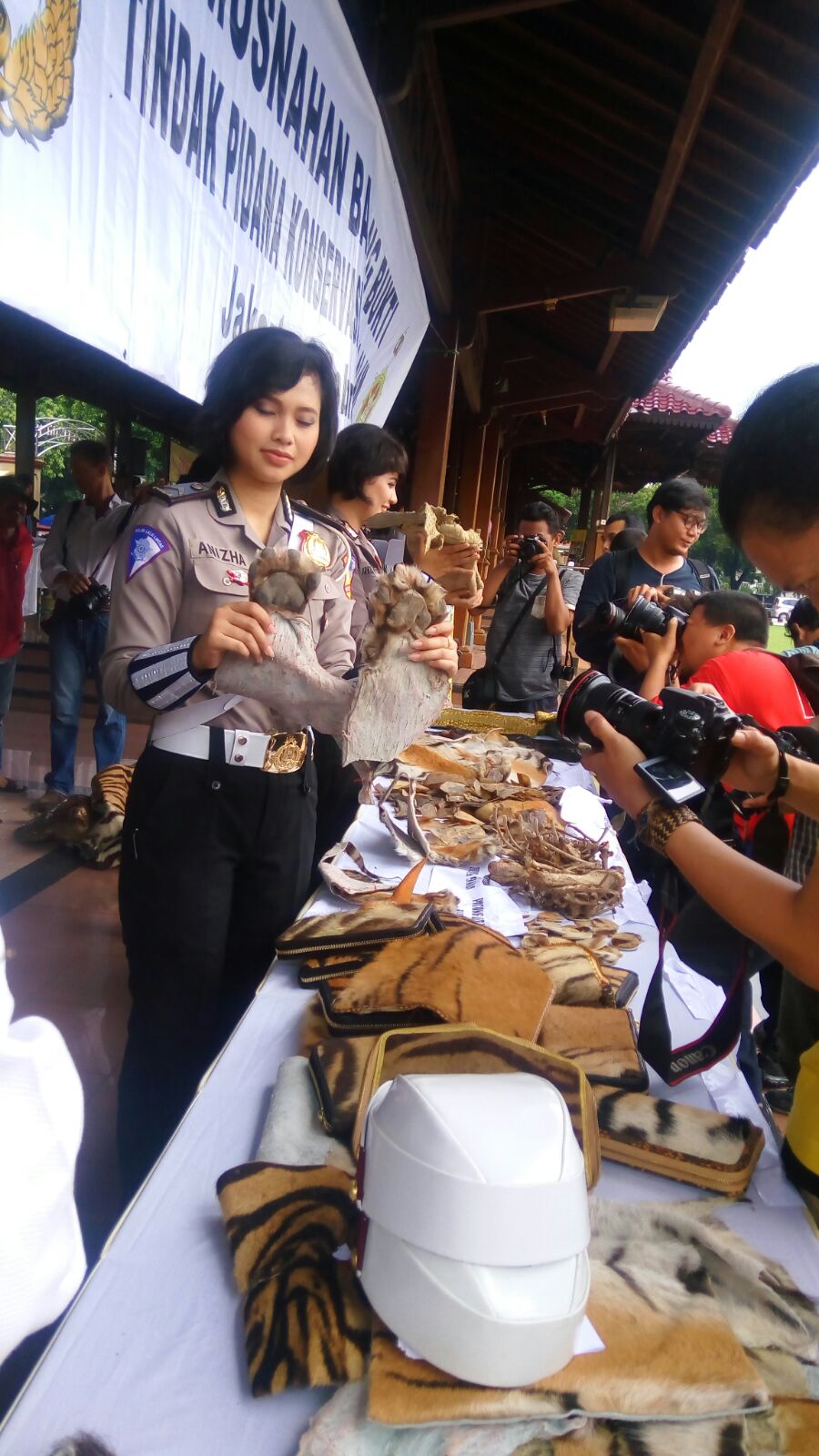 Pemusnahan barang bukti bagian kulit satwa liar dilindungi sitaan dari operasi, dimusnahkan oleh aparat berwajib di Lapanga Bhayangkara Mabes Polri, Jakarta, pada Selasa (02/02/2016). Foto : WCU