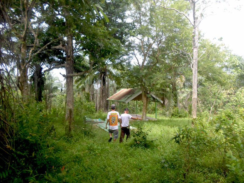 Lokasi Talang Tuo yang saat ini dikepung perkebunan sawit dan tak terurus. Foto: Taufik Wijaya