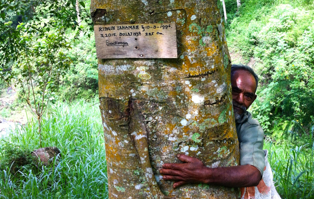 Sadiman memeluk pohon beringin yang dia tanam 20 tahun lalu. Foto: Nusawantoro