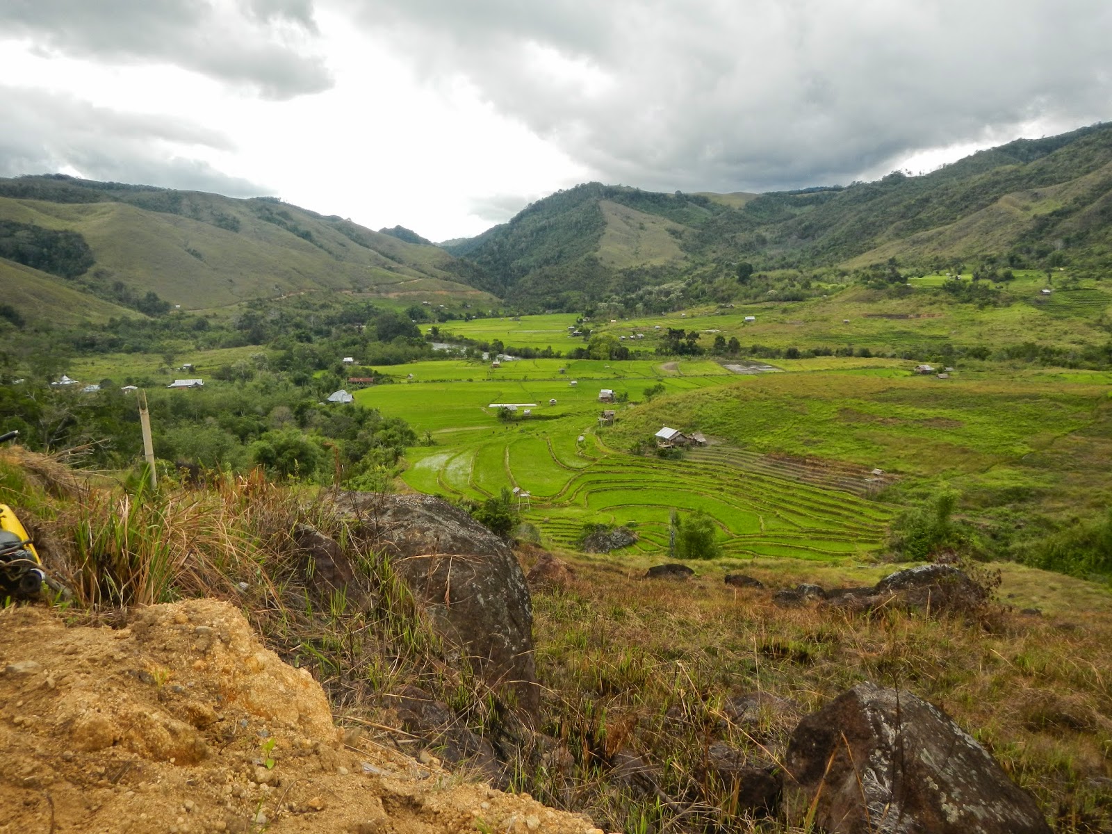 Hamparan sawah milik Masyarakat Adat Amballong di Kabupaten Luwu Utara, Sulawesi Selatan yang terancam kena dampak PLTA. Foto: Mahir Takaka