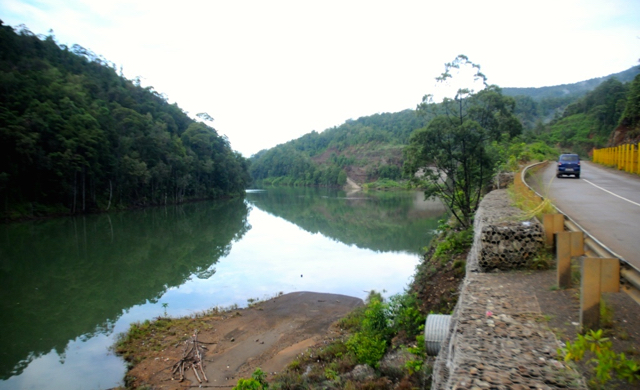 Sungai Larona dari Towuti menuju muara di Malili. Foto: Eko Rusdianto