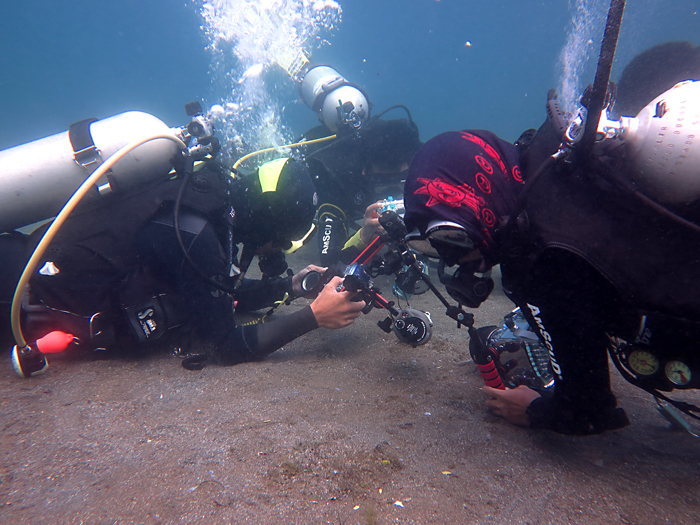 Cacing bobit menjadi salah satu satwa laut primadona para penyelam penghobi foto makro bawah laut. Foto : Wisuda