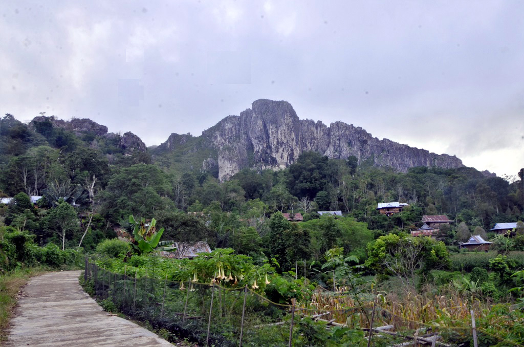 Wilayah adat Patongloan di Desa Patongloan, Kecamatan Baroko, Kabupaten Enrekang, Sulawesi Selatan, yang terdiri dari bukit dan lembah, memiliki kondisi yang ekstrim, yang menyulitkan dalam proses pemetaan partisipatif. Foto: Wahyu Chandra