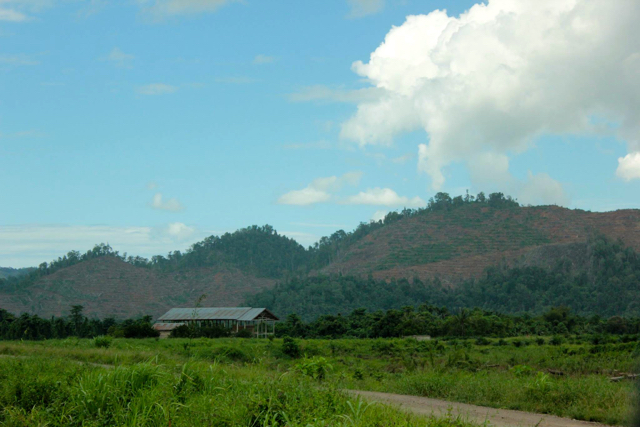 Lokasi perkebunan sawit tumpang tindih dengan wilayah kelola rakyat di Tolitoli, Sulteng. Foto: Andika Ndika