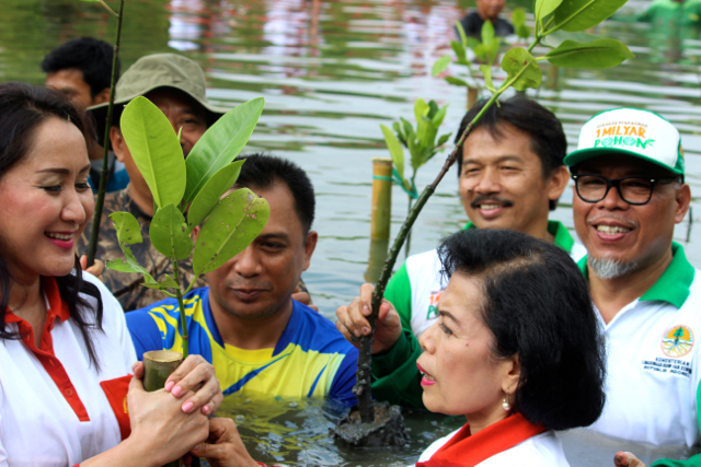 Kowani bersama KLHK dalam aksi tanam mangrove di Taman Wisata Mangrove Kapuk. Foto: Sapariah Saturi