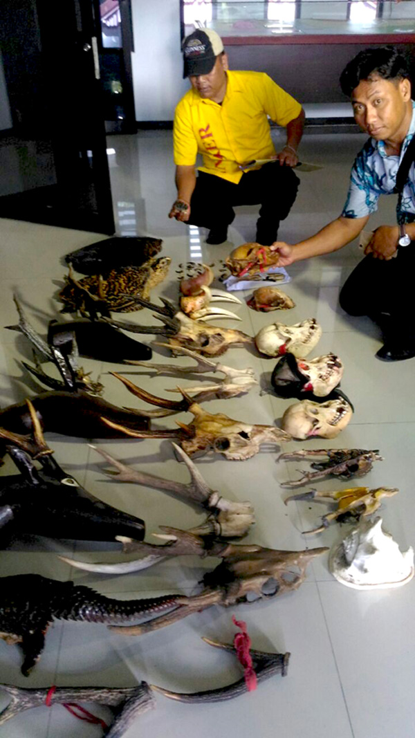 Keseluruhan barang bukti yang berhasil diamankan dari toko suvenir di Singkawang, Kalimantan Barat. Foto: Aseanty Pahlevi