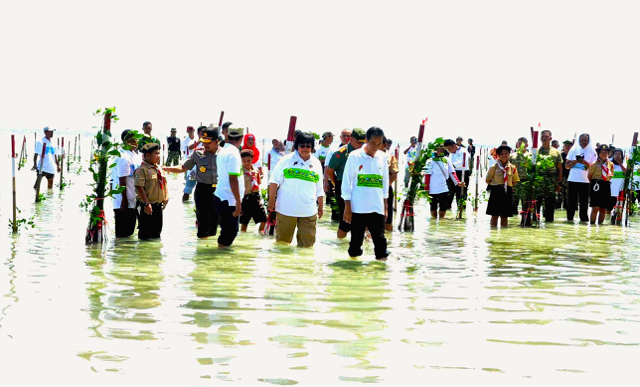 Presiden Jokowi dan Menteri Siri Nurbaya dan rombongan, melakukan penanaman mangrove di Pulau Karya, Kepulauan Seribu. Foto: Humas KLHK
