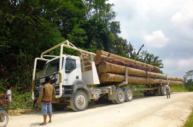 Kendaraan angkutan kayu log PT MPL melintasi pemukiman warga 26 Oktober 2015. Foto: Yayasan Citra Mandiri Mentawai
