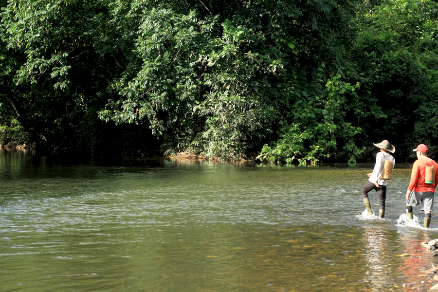 Warga Sub-Suku Dayak Suy’uk di Desa Tanjung sedang menyeberangi Sungai Suy’uk usai menjalankan aktivitas sehari-hari, baik menoreh karet maupun berladang. Foto: Andi Fachrizal