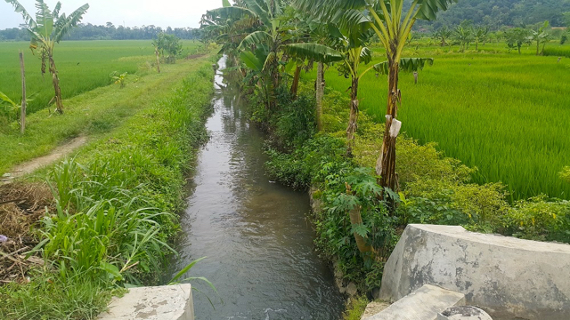 Air irigasi menyuplai lahan pertanian warga di Gombong. Foto: Tommy Apriando