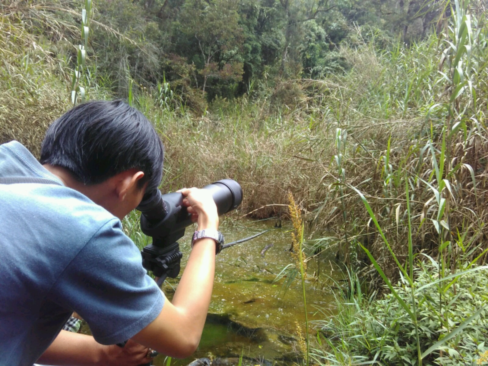 Seorang peneliti sedang mengamati burung menggunakan teropong di kawasan Cagar Alam Darajat, Garut, Jawa Barat, pada Maret 2016. Kawasan tersebut telah dilakukan inventarisasi dan pemetaan guna mendapatkan data tentang flora dan fauna yang masih ada. Foto : Donny Iqbal