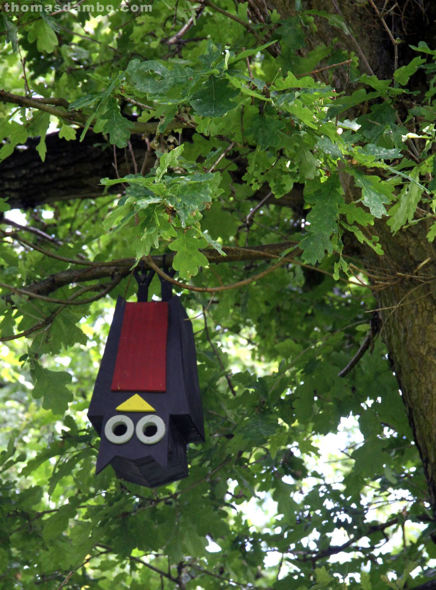 Rumah burung berbentuk kucing yang dipasang di pohon di sebuah taman kota. Foto : thomasdambo.com