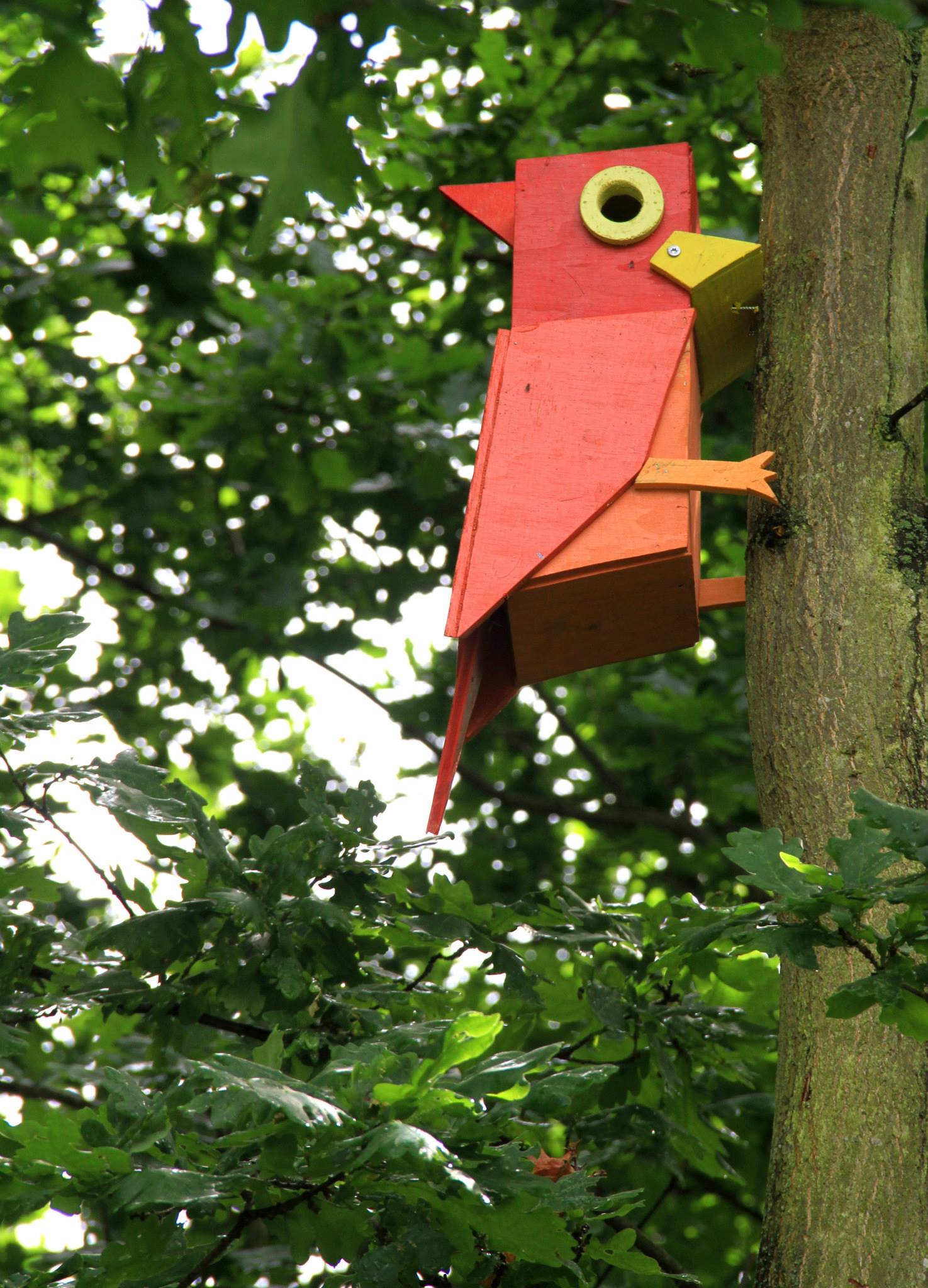 Rumah burung berbentuk burung woodpecker. Foto : thomasdambo.com