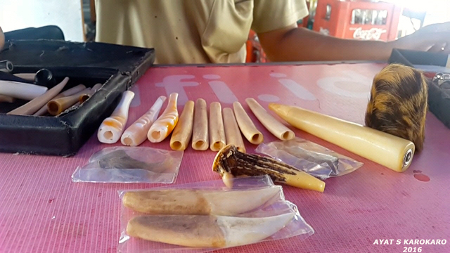 Inilah potongan bahagian tubuh satwa dilindungi yang dijual Khaidir tanpa pernah tertangkap. Satwa-satwa ini diburu di Lampung. Foto: Ayat S Karokaro
