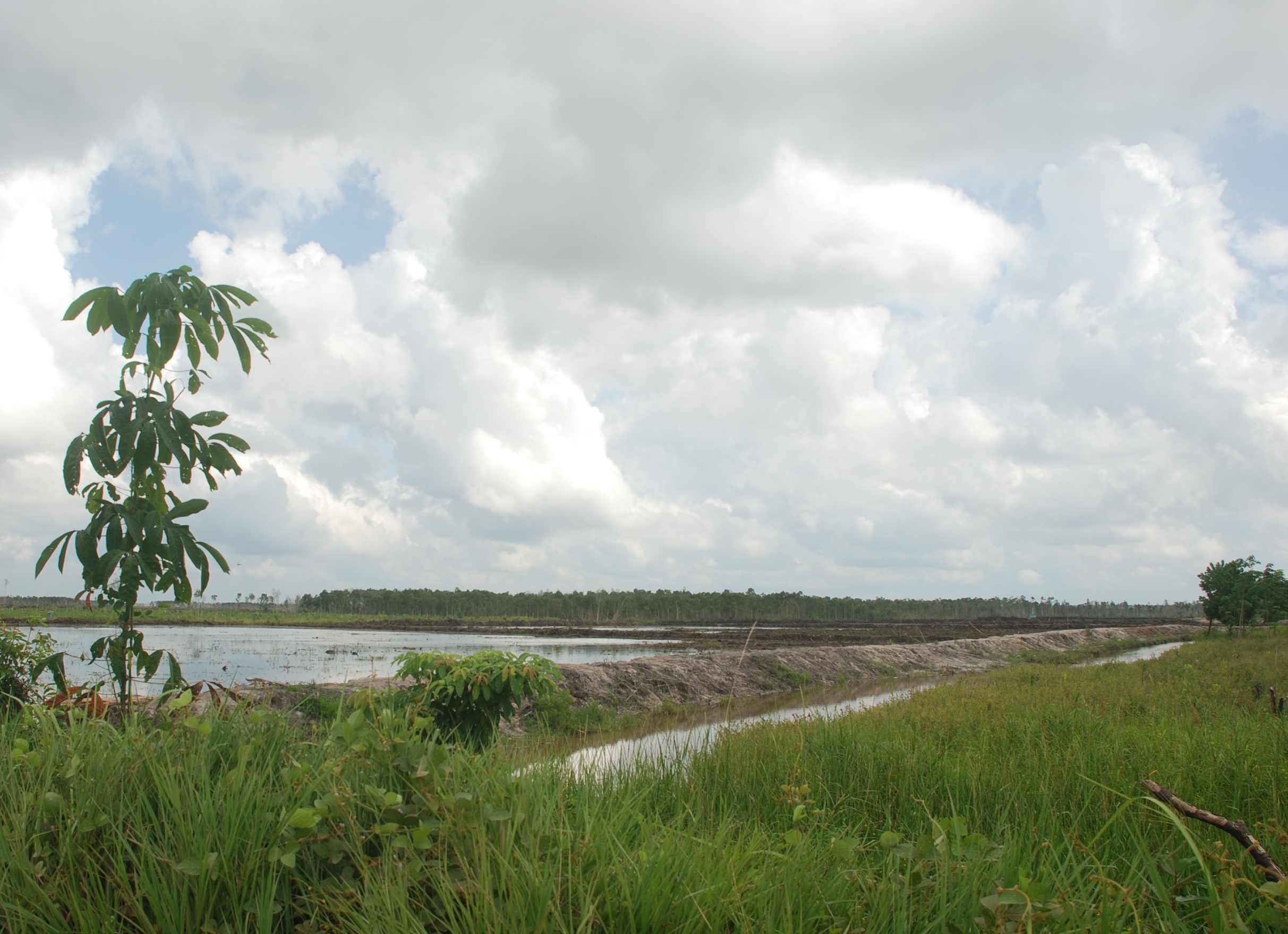 Pembuatan cetak sawah di lahan gambut Desa Sido Mulyo, Kecamatan Sungai Menang, OKI. Foto Taufik Wijaya