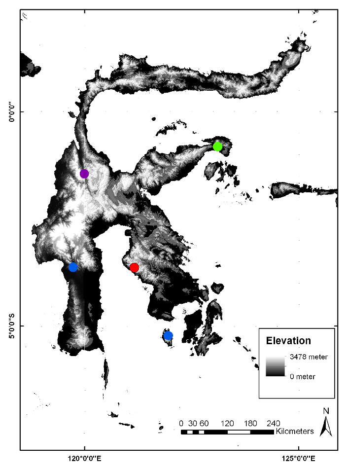 Distribution pattern of known Sulawesian Cyrtodactylus based on type localities with restricted range. Red circle = C. hitchi sp. nov., Green circle = C.batik, Purple circle = C. spinosus, Blue circle = C. wallacei, and Yellow circle = C. fumosus. Distribution of the widespread C. jellesmae complex is not shown.