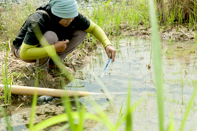 Mengambil sampel air di lahan warga. Foto: Ecoton