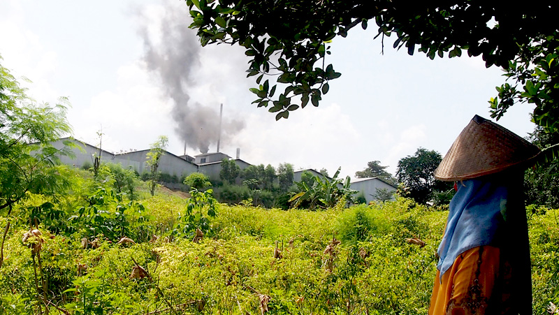 Pabrik pengolahan limbah B3 di kawasan Desa Lakardowo. Foto: Ecoton