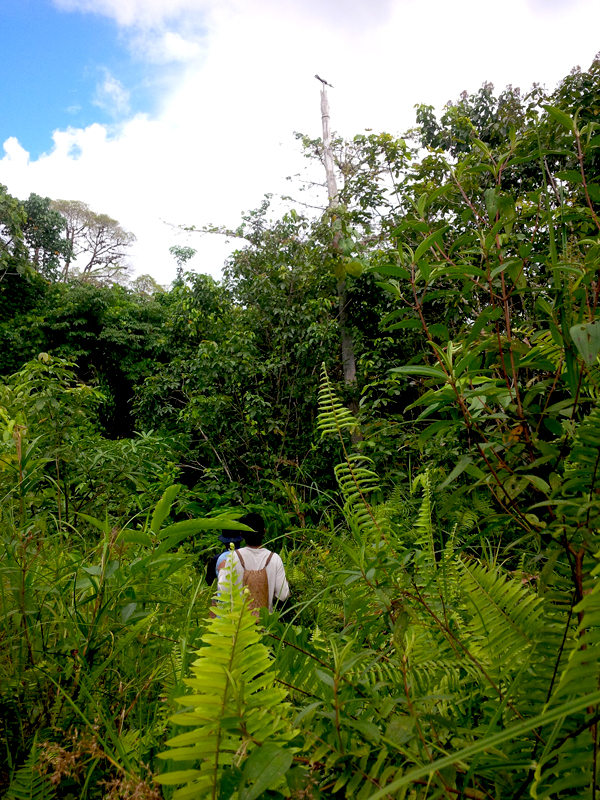 Teeh, salah satu situs peninggalan Orang Suy’uk di pegunungan Muller, Kabupaten Kapuas Hulu, Kalimantan Barat. Foto: Andi Fachrizal