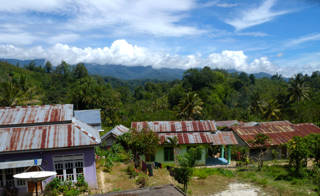 Desa Namo, dengan sekeliling hutan dan pegunungan. Foto: Andika Dhika