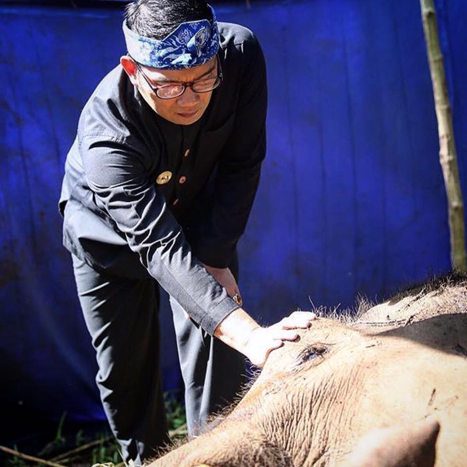 Walikota Bandung Ridwan Kamil sempat mengunjungi Yani, gajah sumatera koleksi Kebun Binatang Bandung, Jabar, yang akhirnya mati pada Rabu (11/05/2016). Foto : facebook Ridwan Kamil
