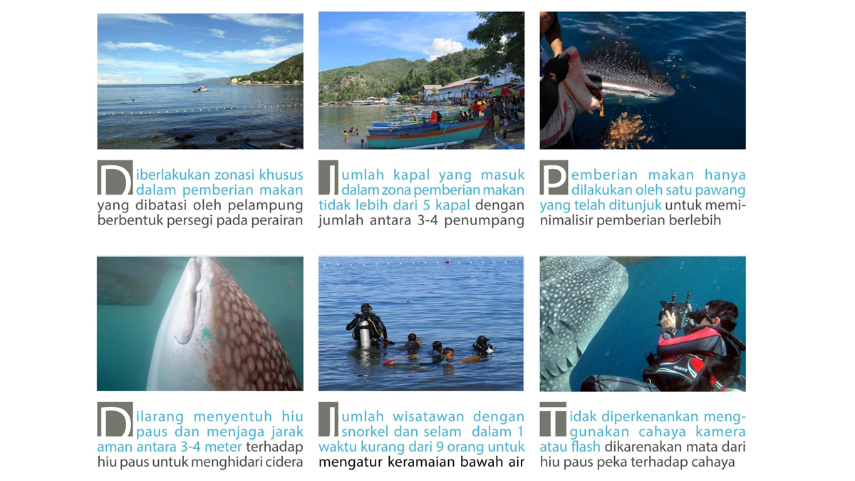 Aturan mengenai interaksi dengan hiu paus. Sumber: Whale Shark Indonesia Project