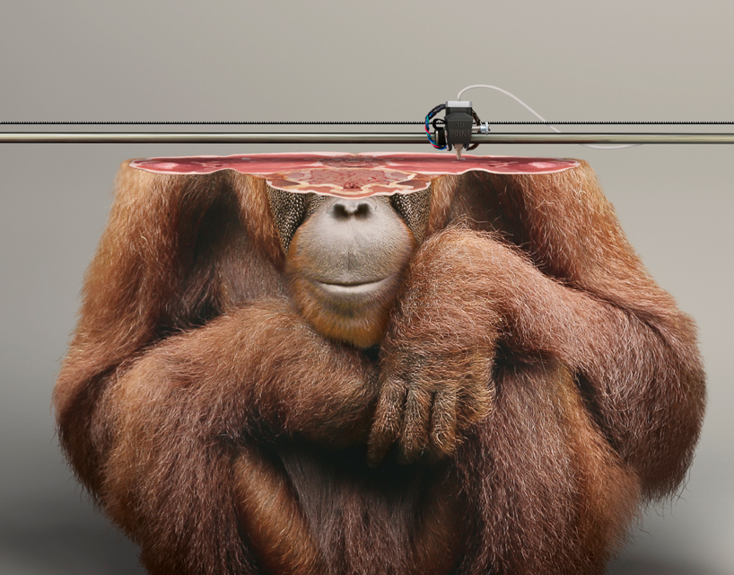 kampanye konservasi orang utan detil young-rubicam-IFAW-campaign-3D-printed-animals-designboom-13