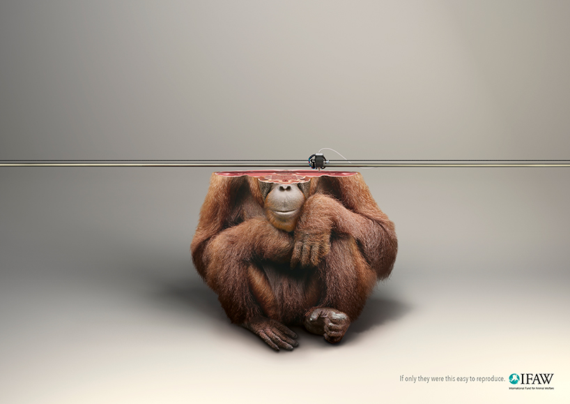 kampanye konservasi orang utan young-rubicam-IFAW-campaign-3D-printed-animals-designboom