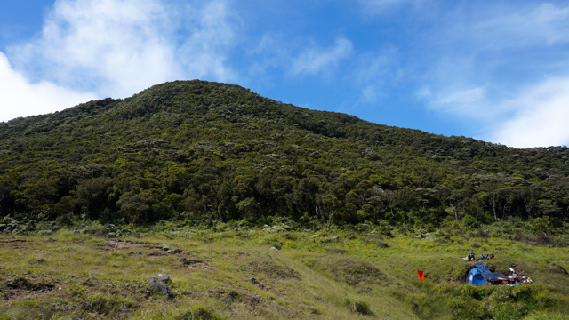 Cuaca cerah, punck gunung dengan hutan lebat begitu indah dipandang. Foto: Lusia Arumingtyas