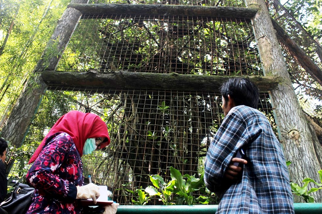 Tim dokter hewan memberikan analisis sementara terkait kondisi Kebun Binatang Bandung setelah pengamatan Jumat, (13/05/2016). Rencananya investigasi satwa dilakukan bertahap selama sepekan kedepan, mengingat banyaknya jumlah populasi hewan koleksi. Foto : Donny Iqbal
