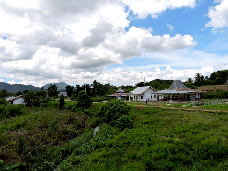Suasana Desa Puncak Jaya, yang sebelumnya merupakan kawasan hutan, dibuka menjadi desa untuk transmigrasi. Foto: Christopel Paino