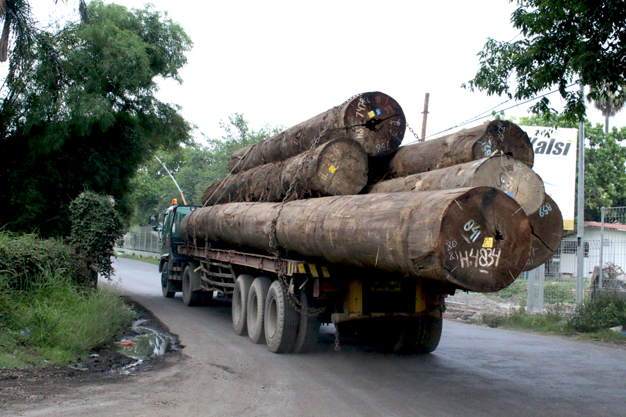 Kayu gelondongan yang diangkut truk di daerah Jawa  Timur. Foto: JPIK Jawa Timur