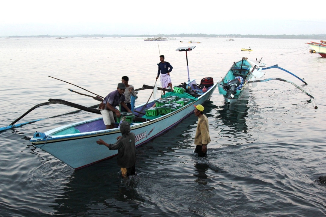 Nelayan menyandarkan ikan di Pelabuhan Tanjung Luar, Lombok Timur, NTB. RIbuan nelayan di perairan Lombok Timur terancam mata pencahariannya karena rencana pengerukan pasir laut oleh PT DAR untuk reklamasii Teluk Benoa Bali. Foto : Anton Muhajir