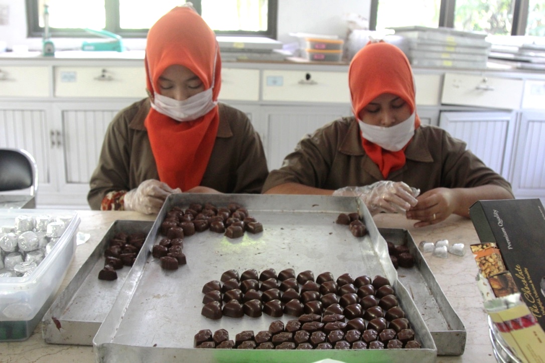 Pengolahan cokelat siap saji di Puslitkoka Jember Jatim. Foto : Anton Muhajir