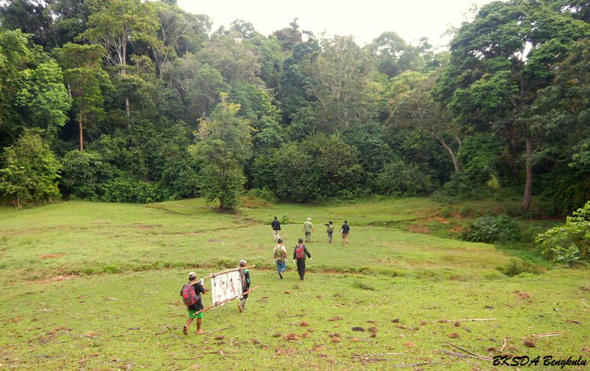 Gambaran TWA Seblat, tempat Giring dirawat. Foto: BKSDA Bengkulu