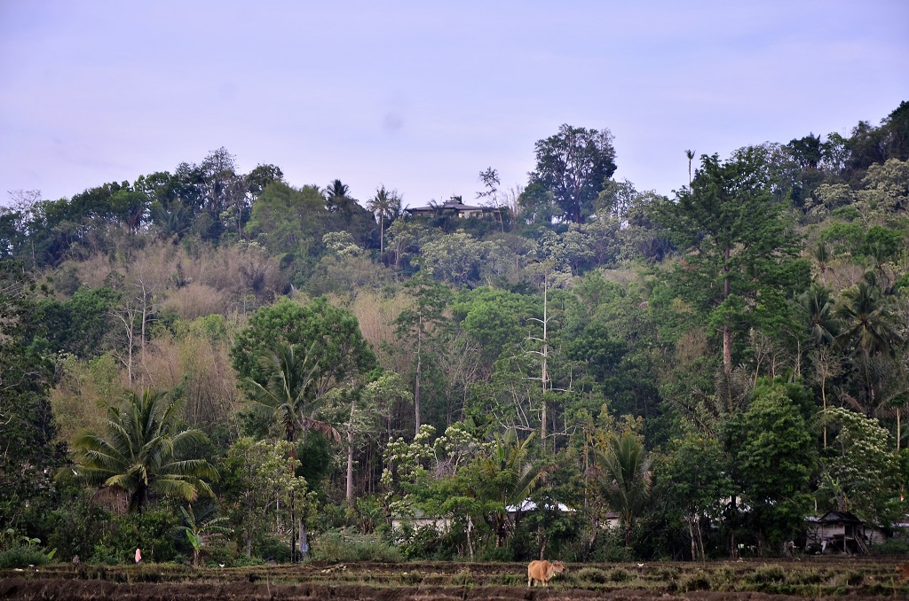 Kondisi alam Kaluppini, Enrekang, Sulsel, yang terjal dan berbatuan diyakini memiliki kandungan emas yang cukup besar, dan bahkan telah dinyatakan layak tambang oleh sebuah inestor dari Korea. Foto: Wahyu Chandra 