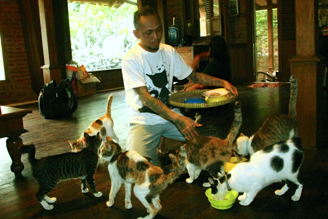 Selain kesibukan tur keluar kota, ia membagi peran untuk mengurus anjing dan kucing di rumah. Foto: Tommy Apriando