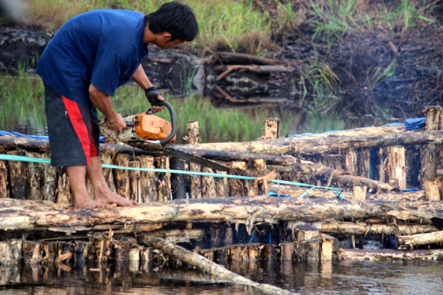 Warga di Sebangau, Kalimantan Tengah, sedang membuat sekat kanal. Foto: Sapariah Saturi
