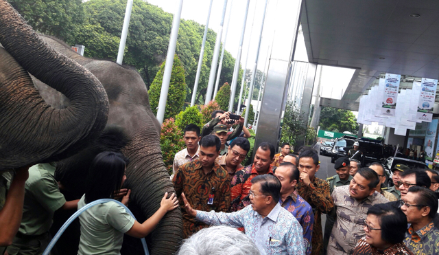 Wapres Jusuf Kalla, kala akan membuka Pekan Lingkungan Hidup di Jakarta, disambut dua gajah Sumatera. Ini sebagai pesan penting perlindungan satwa, sebagai bagian ekosistem kehidupan. Foto: Sapariah Saturi