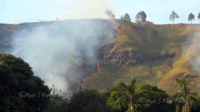 Api sudah mencapai punggung bukit-bukit dikawasan hutan Sibolangit. Foto: Ayat S Karokaro