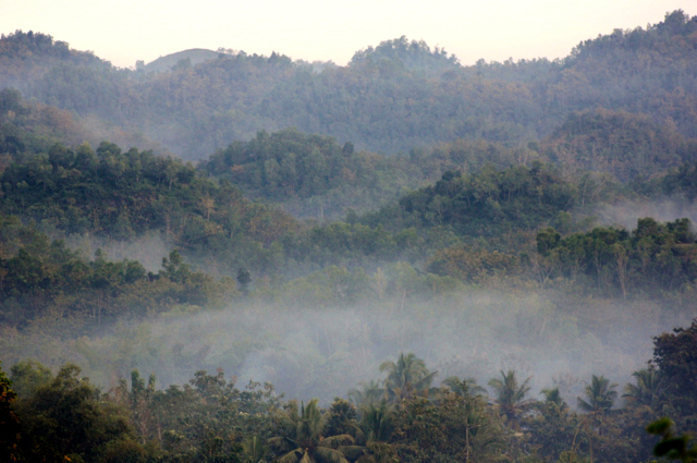Gunung Sewu dalam pelukan kabut di pagi hari. Foto: Nuswantoro