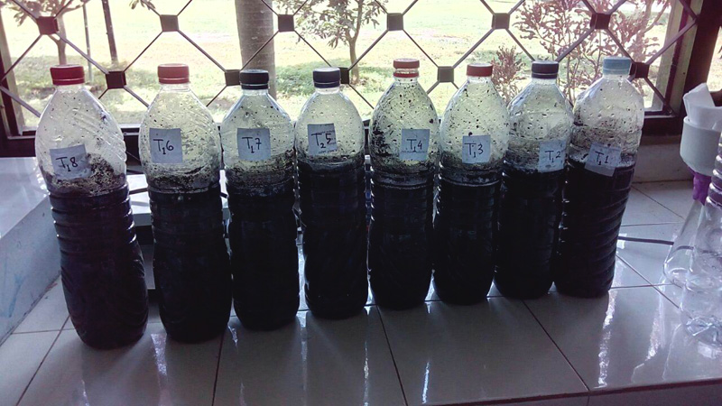 Pengujian arang aktif ampas kopi pada air sumur yang tercemar logam berat. Foto: tim peneliti FKM Universitas Jember