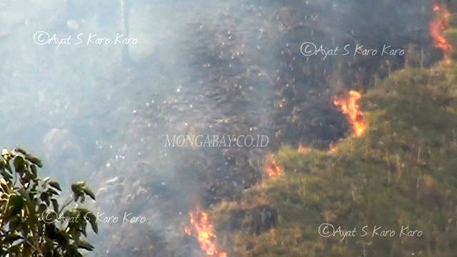 Begini penampakan kebakaran di Desa Sibolangit kecamatan Merek, Karo. Foto diambil dari atas bukit. Foto: Ayat S Karokaro