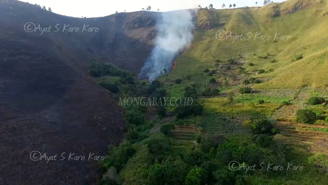 Sejak Selasa hingga Kamis titik api masih terus terlihat di kawasan hutan Sibolangit. Foto: Ayat S Karokaro