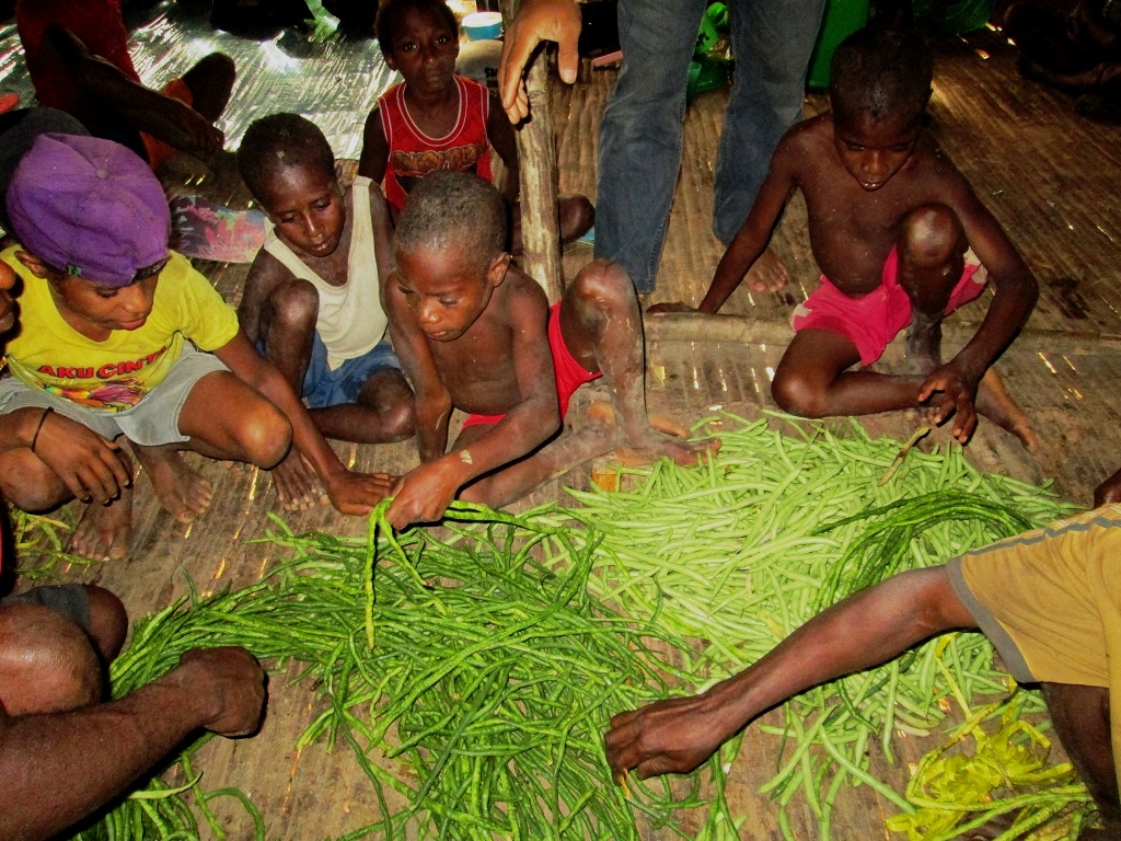 Perkumpulan Silva Papua Lestari kini berupaya melakukan pendampingan ekonomi dengan memperkenalkan budidaya tanaman sayuran dan perkebunan. Beberapa warga juga telah di sekolahkan. Foto: Kristian Ari/Silva Papua Lestari