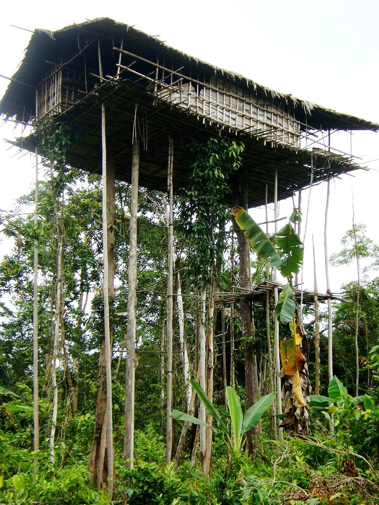 Rumah tinggi, selain rumah pohon, masih banyak ditemukan di pedalaman Korowae, Boven Digoel, Papua. Kehidupan masyarakat adat dari suku Korowae, Boven Digoel, Papua, masih hidup dalam pola hidup tradisional. (Foto: Kristian Ari/Silva Papua Lestari)