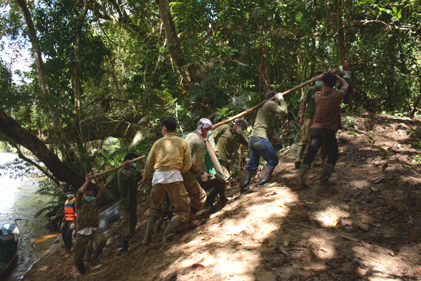 Pengangkutan kandang yang berisi orangutan ke titik release. Foto: BOSF