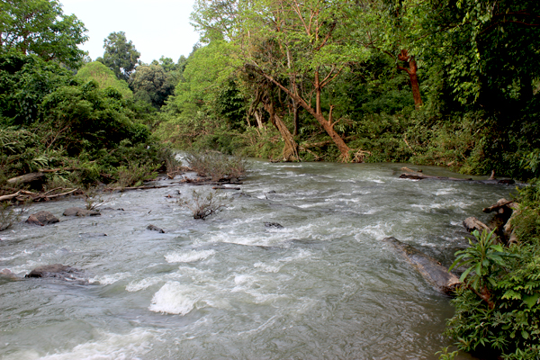 Air bersih yang bersumber di air terjun Sangka Pane di Kecamatan Bandar Baru, Aceh Tamiang merupakan sumber air bersih bagi kehidupan masyarakat Aceh Tamiang. Foto: Rahmadi Rahmad 