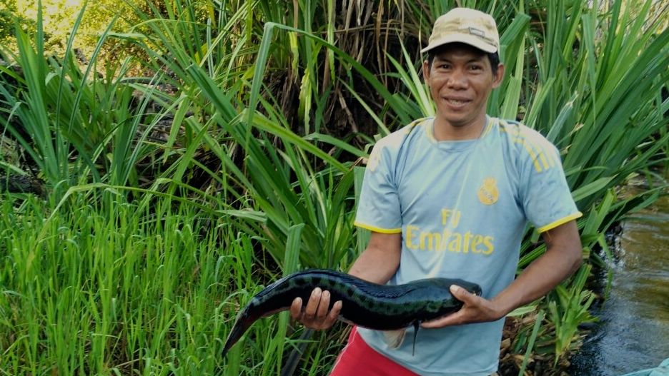 Seorang warga memperlihatkan ikan hasil tangkapannya di Danau Bagantung. Foto: Indra Nugraha