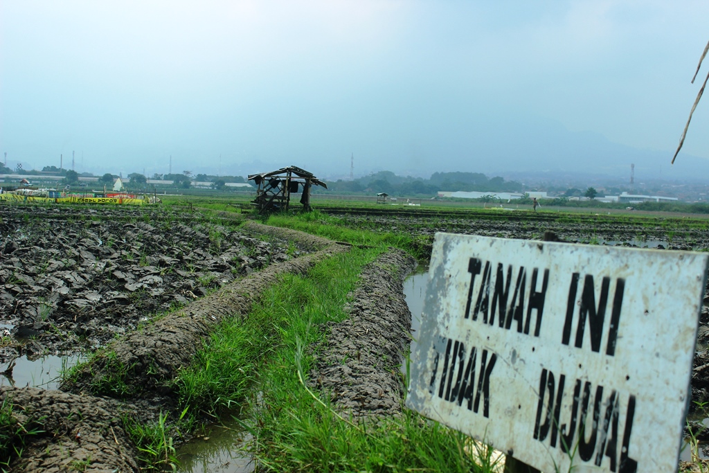 Plang bertulis "tidak dijual" ditancapkan di lahan pesawahan di Jalan Soekarno - Hatta Gede Bage, Kota Bandung, Sabtu, (13/08/2016). Sebagian kalangan menilai lahan pertanian perlu dipertahankan sebagai penyeimbang ekosistem ditengah konversi lahan untuk pembangunan. Foto : Donny Iqbal
